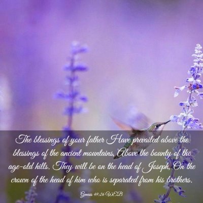 Picture 03 - Genesis 49:26 WEB - The blessings of your father Have prevailed above - Bible Verse Picture