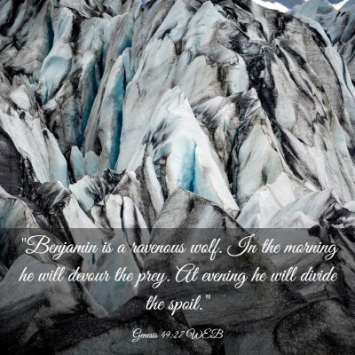 Picture 03 - Genesis 49:27 WEB - 