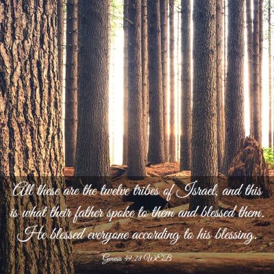 Picture 03 - Genesis 49:28 WEB - All these are the twelve tribes of Israel, and - Bible Verse Picture