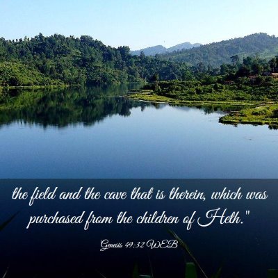 Picture 03 - Genesis 49:32 WEB - the field and the cave that is therein, which was - Bible Verse Picture