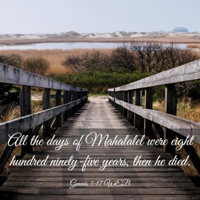 Picture 03 - Genesis 5:17 WEB - All the days of Mahalalel were eight hundred - Bible Verse Picture
