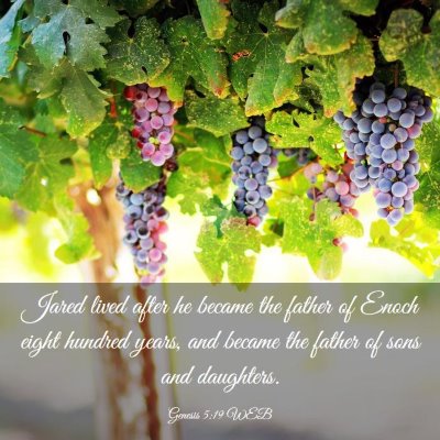 Picture 03 - Genesis 5:19 WEB - Jared lived after he became the father of Enoch - Bible Verse Picture