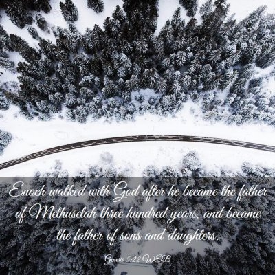 Picture 03 - Genesis 5:22 WEB - Enoch walked with God after he became the father - Bible Verse Picture