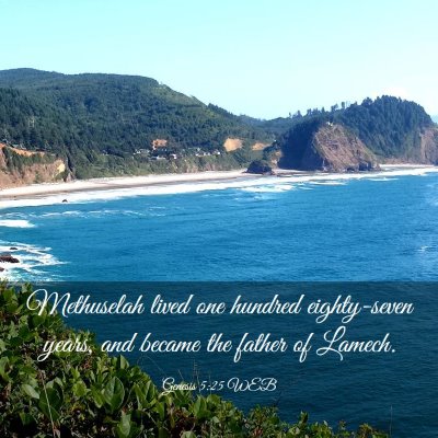 Picture 03 - Genesis 5:25 WEB - Methuselah lived one hundred eighty-seven years, - Bible Verse Picture