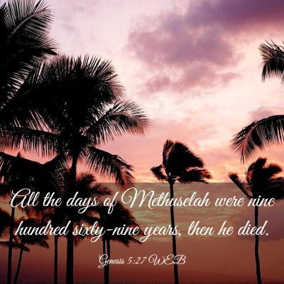 Picture 03 - Genesis 5:27 WEB - All the days of Methuselah were nine hundred - Bible Verse Picture