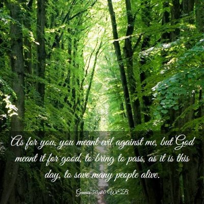 Picture 03 - Genesis 50:20 WEB - As for you, you meant evil against me, but God - Bible Verse Picture
