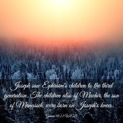 Picture 03 - Genesis 50:23 WEB - Joseph saw Ephraim's children to the third - Bible Verse Picture