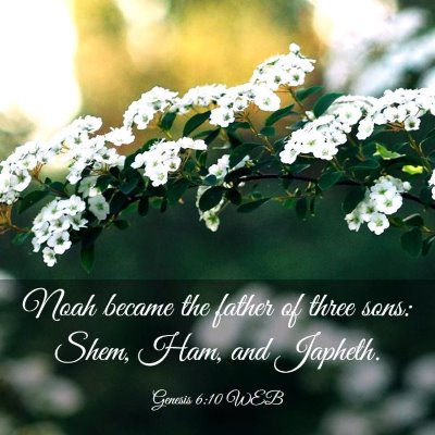 Picture 03 - Genesis 6:10 WEB - Noah became the father of three sons: Shem, Ham, - Bible Verse Picture
