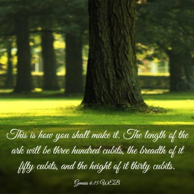 Picture 03 - Genesis 6:15 WEB - This is how you shall make it. The length of the - Bible Verse Picture