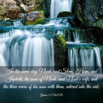 Picture 03 - Genesis 7:13 WEB - In the same day Noah, and Shem, Ham, and Japheth, - Bible Verse Picture