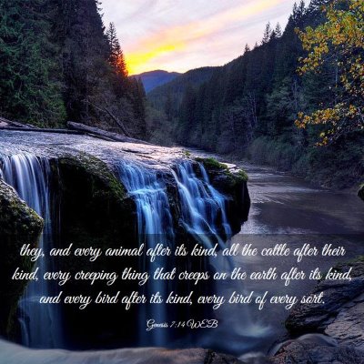Picture 03 - Genesis 7:14 WEB - they, and every animal after its kind, all the - Bible Verse Picture