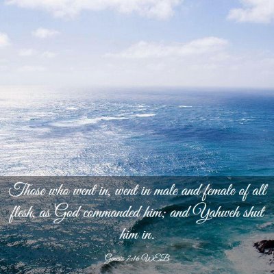 Picture 03 - Genesis 7:16 WEB - Those who went in, went in male and female of all - Bible Verse Picture