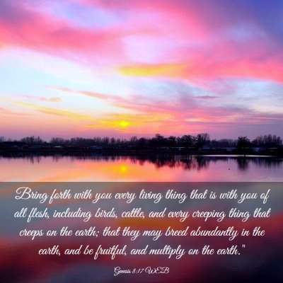 Picture 03 - Genesis 8:17 WEB - Bring forth with you every living thing that is - Bible Verse Picture