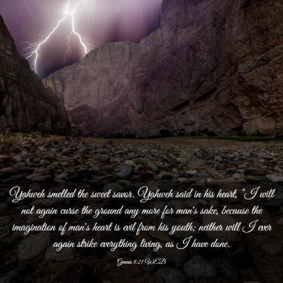 Picture 03 - Genesis 8:21 WEB - Yahweh smelled the sweet savor. Yahweh said in - Bible Verse Picture