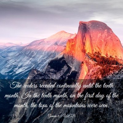 Picture 03 - Genesis 8:5 WEB - The waters receded continually until the tenth - Bible Verse Picture