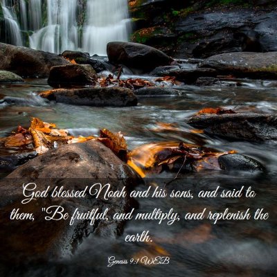 Picture 03 - Genesis 9:1 WEB - God blessed Noah and his sons, and said to them, - Bible Verse Picture