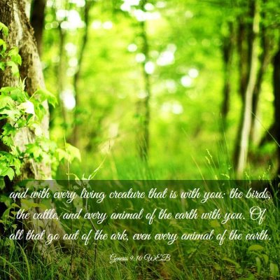 Picture 03 - Genesis 9:10 WEB - and with every living creature that is with you: - Bible Verse Picture