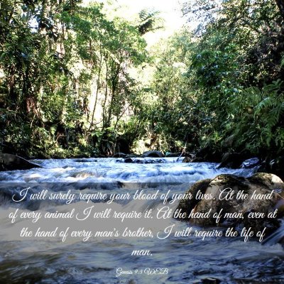 Picture 03 - Genesis 9:5 WEB - I will surely require your blood of your lives. - Bible Verse Picture