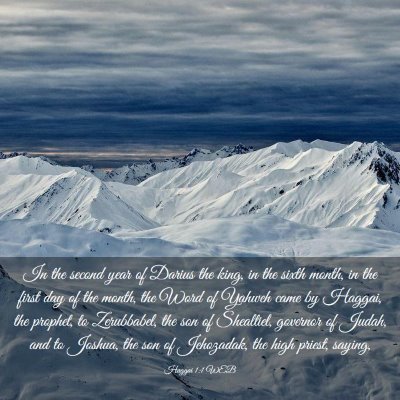 Picture 03 - Haggai 1:1 WEB - In the second year of Darius the king, in the - Bible Verse Picture