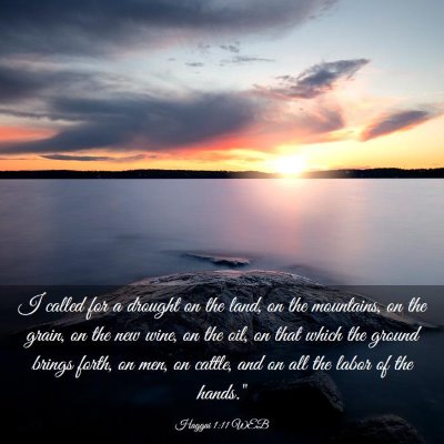 Picture 03 - Haggai 1:11 WEB - I called for a drought on the land, on the - Bible Verse Picture