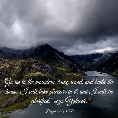 Picture 03 - Haggai 1:8 WEB - Go up to the mountain, bring wood, and build the - Bible Verse Picture