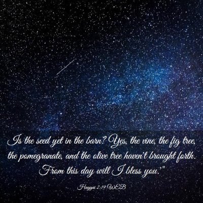 Picture 03 - Haggai 2:19 WEB - Is the seed yet in the barn? Yes, the vine, the - Bible Verse Picture