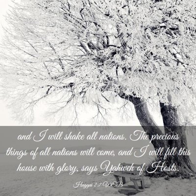 Picture 03 - Haggai 2:7 WEB - and I will shake all nations. The precious things - Bible Verse Picture