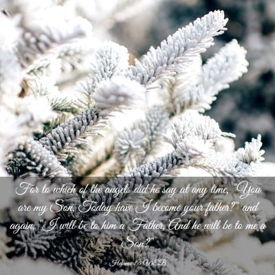 Picture 03 - Hebrews 1:5 WEB - For to which of the angels did he say at any - Bible Verse Picture