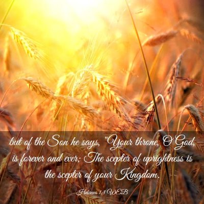 Picture 03 - Hebrews 1:8 WEB - but of the Son he says, 