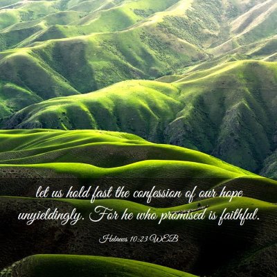 Picture 03 - Hebrews 10:23 WEB - let us hold fast the confession of our hope - Bible Verse Picture