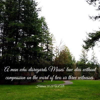 Picture 03 - Hebrews 10:28 WEB - A man who disregards Moses' law dies without - Bible Verse Picture