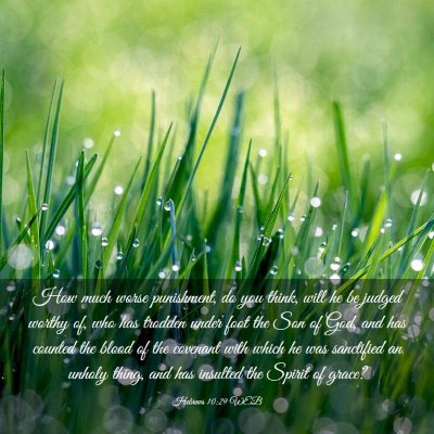 Picture 03 - Hebrews 10:29 WEB - How much worse punishment, do you think, will he - Bible Verse Picture