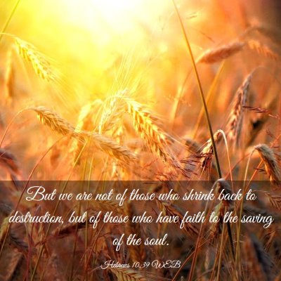 Picture 03 - Hebrews 10:39 WEB - But we are not of those who shrink back to - Bible Verse Picture