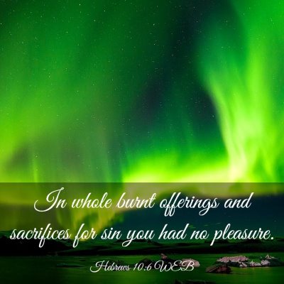 Picture 03 - Hebrews 10:6 WEB - In whole burnt offerings and sacrifices for sin - Bible Verse Picture