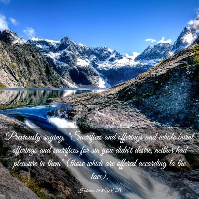Picture 03 - Hebrews 10:8 WEB - Previously saying, 