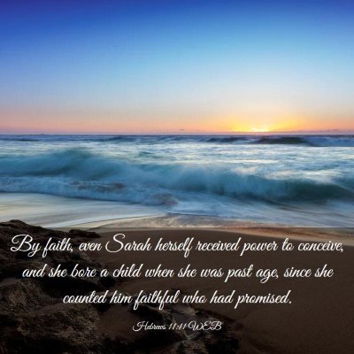 Picture 03 - Hebrews 11:11 WEB - By faith, even Sarah herself received power to - Bible Verse Picture