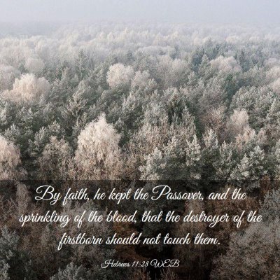 Picture 03 - Hebrews 11:28 WEB - By faith, he kept the Passover, and the - Bible Verse Picture