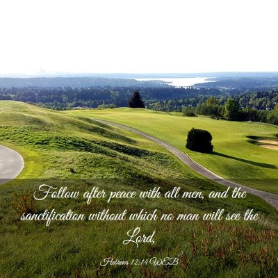 Picture 03 - Hebrews 12:14 WEB - Follow after peace with all men, and the - Bible Verse Picture