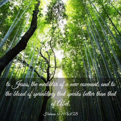 Picture 03 - Hebrews 12:24 WEB - to Jesus, the mediator of a new covenant, and to - Bible Verse Picture