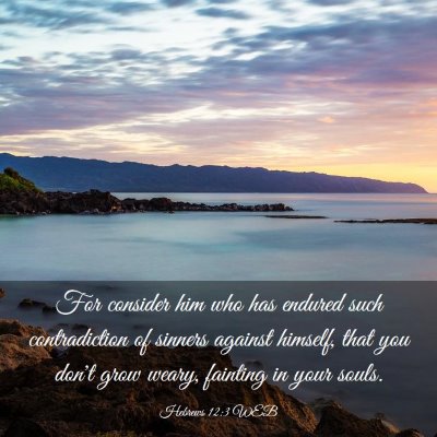 Picture 03 - Hebrews 12:3 WEB - For consider him who has endured such - Bible Verse Picture
