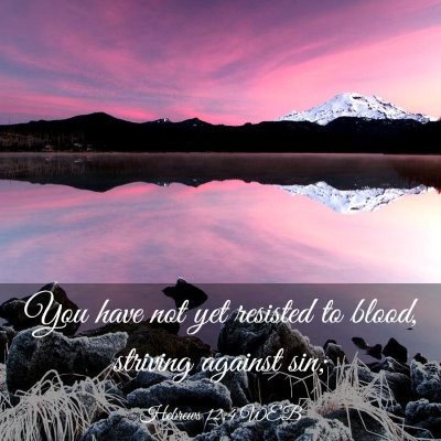 Picture 03 - Hebrews 12:4 WEB - You have not yet resisted to blood, striving - Bible Verse Picture