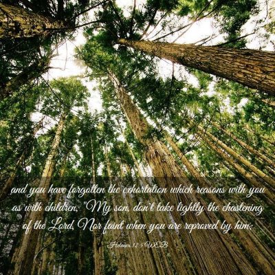 Picture 03 - Hebrews 12:5 WEB - and you have forgotten the exhortation which - Bible Verse Picture