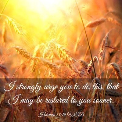 Picture 03 - Hebrews 13:19 WEB - I strongly urge you to do this, that I may be - Bible Verse Picture