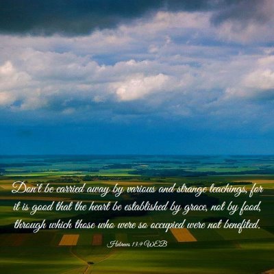 Picture 03 - Hebrews 13:9 WEB - Don't be carried away by various and strange - Bible Verse Picture