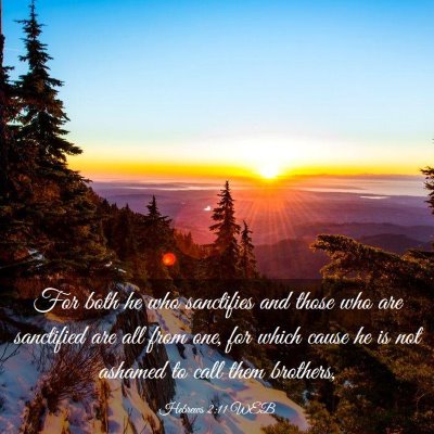 Picture 03 - Hebrews 2:11 WEB - For both he who sanctifies and those who are - Bible Verse Picture