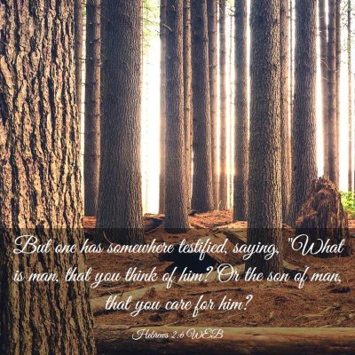 Picture 03 - Hebrews 2:6 WEB - But one has somewhere testified, saying, 