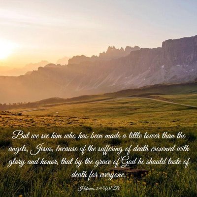 Picture 03 - Hebrews 2:9 WEB - But we see him who has been made a little lower - Bible Verse Picture