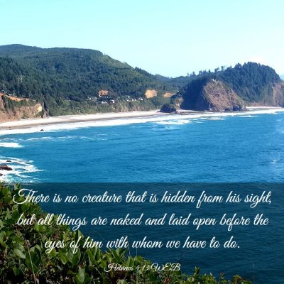 Picture 03 - Hebrews 4:13 WEB - There is no creature that is hidden from his - Bible Verse Picture