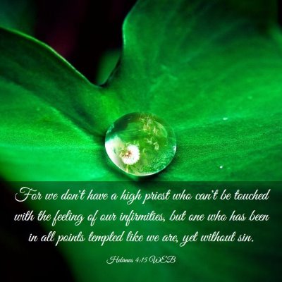 Picture 03 - Hebrews 4:15 WEB - For we don't have a high priest who can't be - Bible Verse Picture