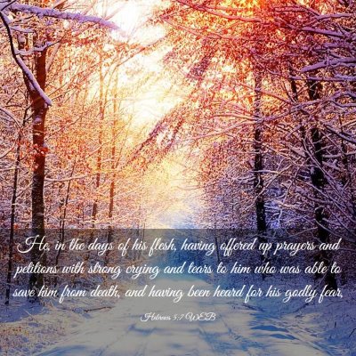 Picture 03 - Hebrews 5:7 WEB - He, in the days of his flesh, having offered up - Bible Verse Picture